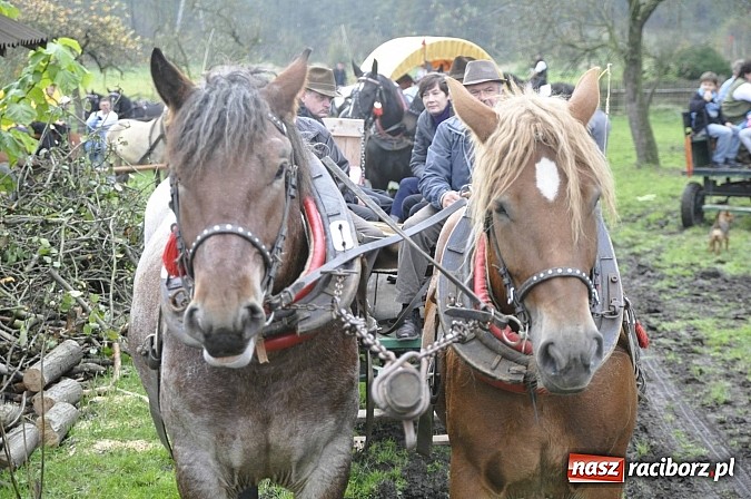 Zdjęcie w galerii na portalu naszraciborz.pl: Święto jeźdźców - hubertus na Budzinie wiadomości z regionu
