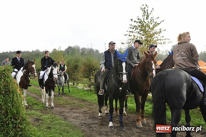 Zdjęcie w galerii na portalu naszraciborz.pl: Święto jeźdźców - hubertus na Budzinie wiadomości z regionu