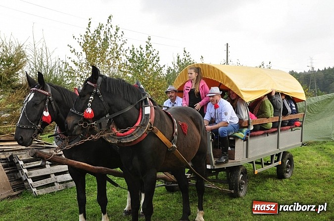 Zdjęcie w galerii na portalu naszraciborz.pl: Święto jeźdźców - hubertus na Budzinie wiadomości z regionu