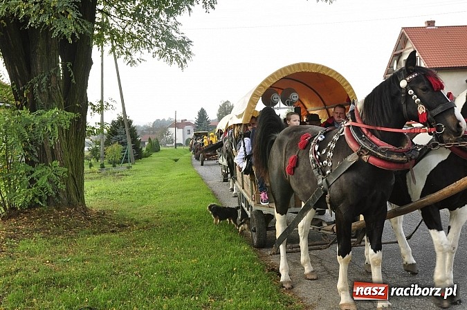 Zdjęcie w galerii na portalu naszraciborz.pl: Święto jeźdźców - hubertus na Budzinie wiadomości z regionu