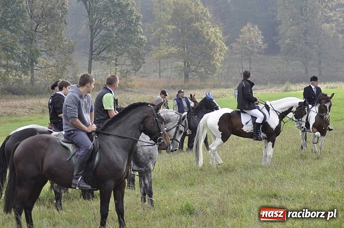 Zdjęcie w galerii na portalu naszraciborz.pl: Święto jeźdźców - hubertus na Budzinie wiadomości z regionu