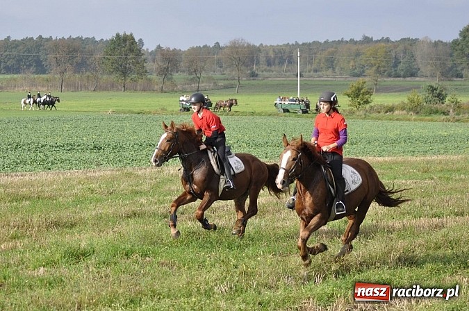 Zdjęcie w galerii na portalu naszraciborz.pl: Święto jeźdźców - hubertus na Budzinie wiadomości z regionu
