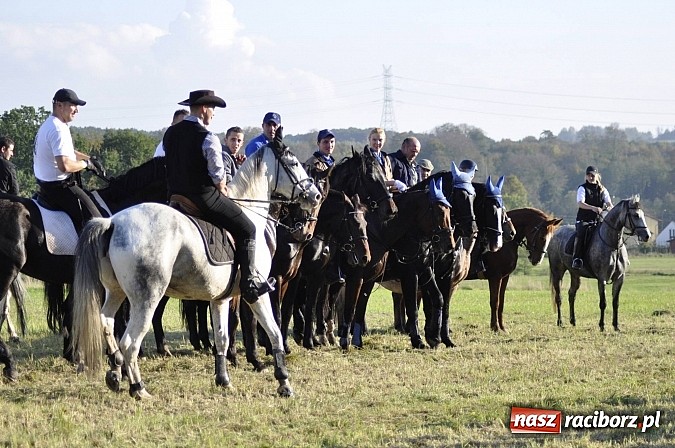 Zdjęcie w galerii na portalu naszraciborz.pl: Święto jeźdźców - hubertus na Budzinie wiadomości z regionu