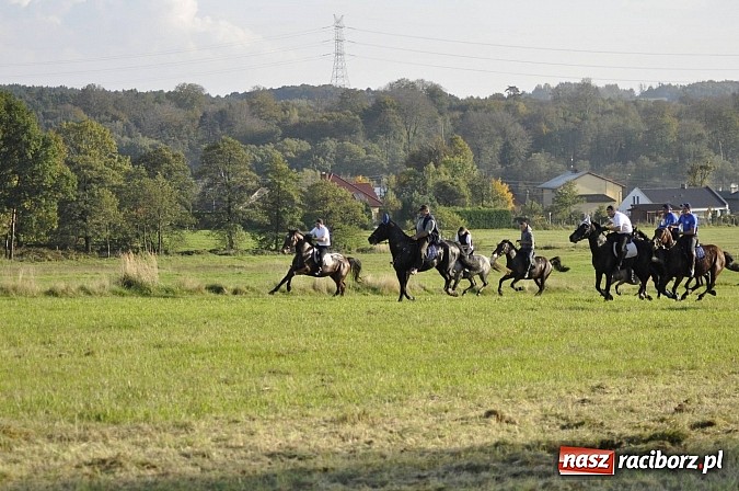 Zdjęcie w galerii na portalu naszraciborz.pl: Święto jeźdźców - hubertus na Budzinie wiadomości z regionu