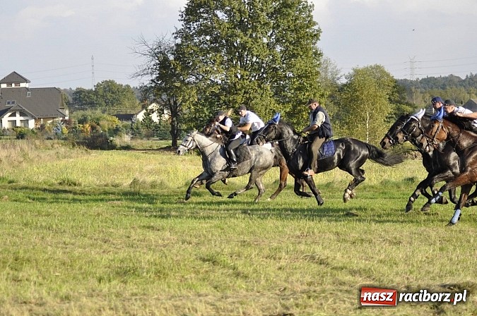 Zdjęcie w galerii na portalu naszraciborz.pl: Święto jeźdźców - hubertus na Budzinie wiadomości z regionu