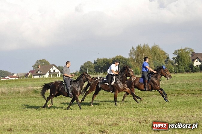 Zdjęcie w galerii na portalu naszraciborz.pl: Święto jeźdźców - hubertus na Budzinie wiadomości z regionu