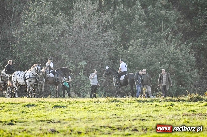 Zdjęcie w galerii na portalu naszraciborz.pl: Wypadek na hubertusie. Podczas ostrego nawrotu wywr&oacute;ciła się bryczka wiadomości z regionu