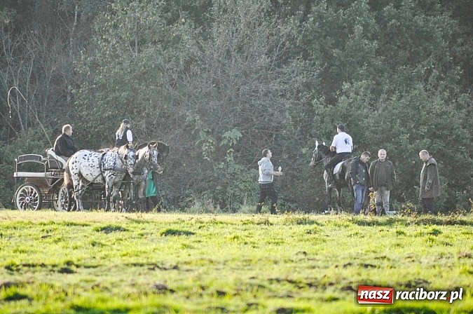 Zdjęcie w galerii na portalu naszraciborz.pl: Wypadek na hubertusie. Podczas ostrego nawrotu wywr&oacute;ciła się bryczka wiadomości z regionu