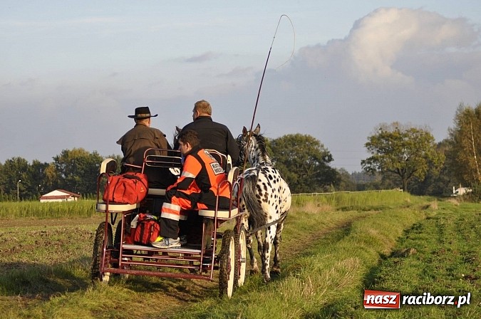 Zdjęcie w galerii na portalu naszraciborz.pl: Wypadek na hubertusie. Podczas ostrego nawrotu wywr&oacute;ciła się bryczka wiadomości z regionu