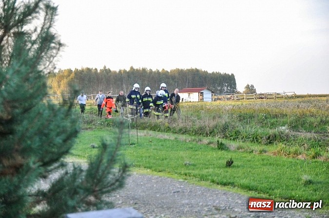Zdjęcie w galerii na portalu naszraciborz.pl: Wypadek na hubertusie. Podczas ostrego nawrotu wywr&oacute;ciła się bryczka wiadomości z regionu