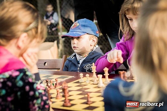 Zdjęcie w galerii na portalu naszraciborz.pl: Piknik artystyczny Światło na Park wiadomości z regionu