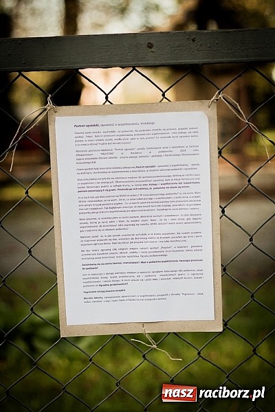 Zdjęcie w galerii na portalu naszraciborz.pl: Piknik artystyczny Światło na Park wiadomości z regionu