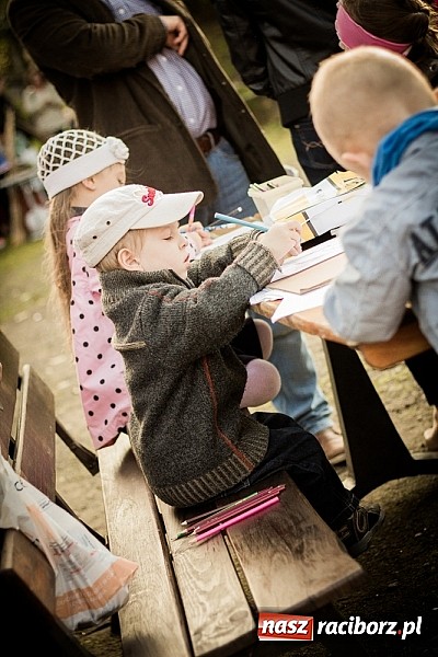 Zdjęcie w galerii na portalu naszraciborz.pl: Piknik artystyczny Światło na Park wiadomości z regionu
