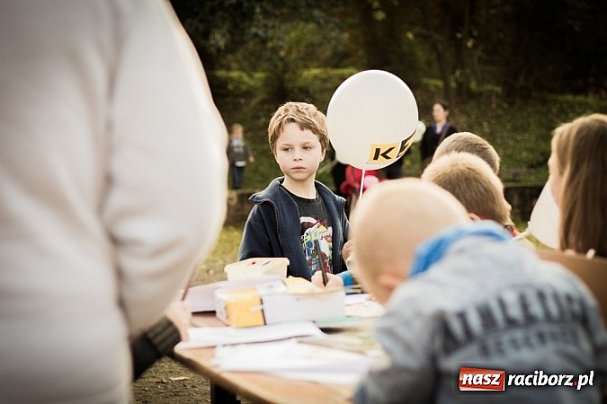Zdjęcie w galerii na portalu naszraciborz.pl: Piknik artystyczny Światło na Park wiadomości z regionu