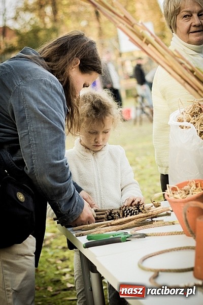 Zdjęcie w galerii na portalu naszraciborz.pl: Piknik artystyczny Światło na Park wiadomości z regionu