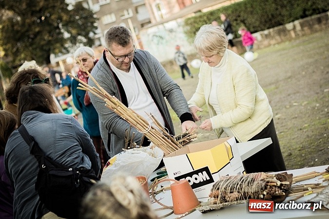 Zdjęcie w galerii na portalu naszraciborz.pl: Piknik artystyczny Światło na Park wiadomości z regionu