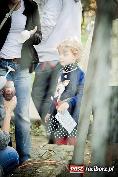 Zdjęcie w galerii na portalu naszraciborz.pl: Piknik artystyczny Światło na Park wiadomości z regionu