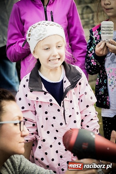 Zdjęcie w galerii na portalu naszraciborz.pl: Piknik artystyczny Światło na Park wiadomości z regionu