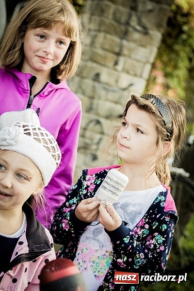 Zdjęcie w galerii na portalu naszraciborz.pl: Piknik artystyczny Światło na Park wiadomości z regionu