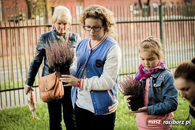 Zdjęcie w galerii na portalu naszraciborz.pl: Piknik artystyczny Światło na Park wiadomości z regionu