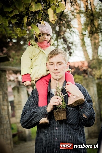 Zdjęcie w galerii na portalu naszraciborz.pl: Piknik artystyczny Światło na Park wiadomości z regionu