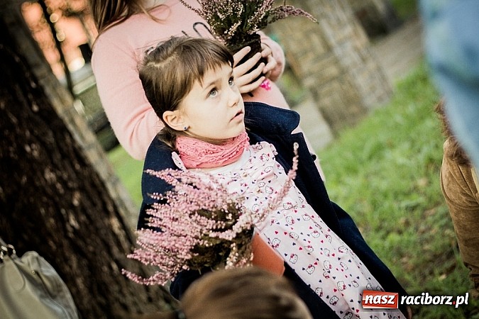 Zdjęcie w galerii na portalu naszraciborz.pl: Piknik artystyczny Światło na Park wiadomości z regionu