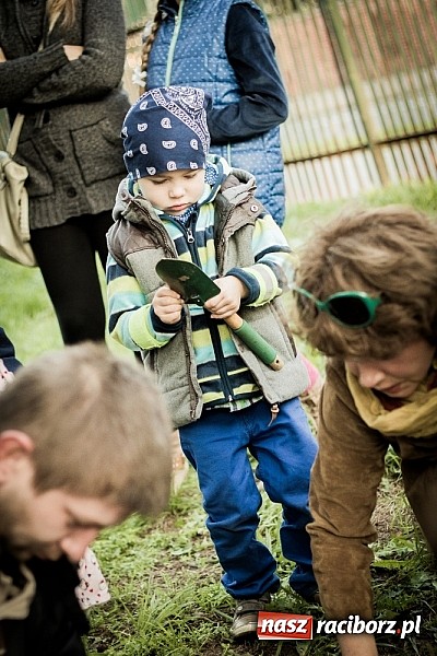 Zdjęcie w galerii na portalu naszraciborz.pl: Piknik artystyczny Światło na Park wiadomości z regionu