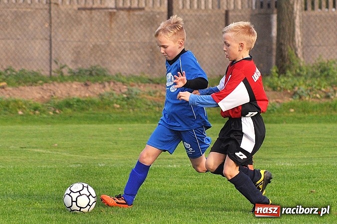 Zdjęcie w galerii na portalu naszraciborz.pl: Młodzi piłkarze Startu z kompletem punkt&oacute;w wiadomości z regionu