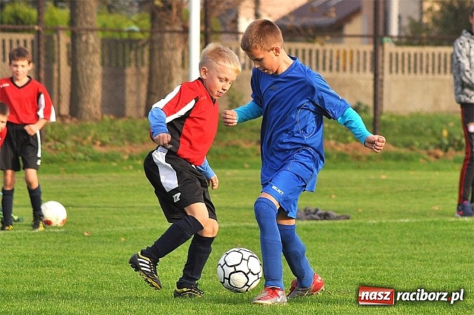 Zdjęcie w galerii na portalu naszraciborz.pl: Młodzi piłkarze Startu z kompletem punkt&oacute;w wiadomości z regionu
