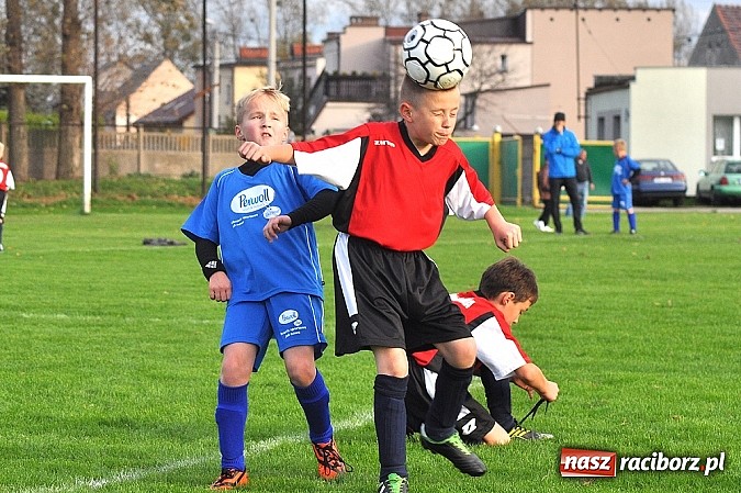 Zdjęcie w galerii na portalu naszraciborz.pl: Młodzi piłkarze Startu z kompletem punkt&oacute;w wiadomości z regionu
