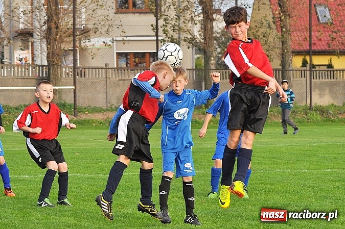 Zdjęcie w galerii na portalu naszraciborz.pl: Młodzi piłkarze Startu z kompletem punkt&oacute;w wiadomości z regionu