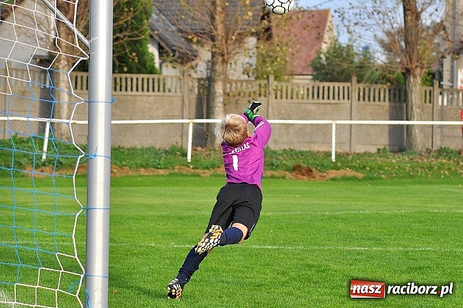 Zdjęcie w galerii na portalu naszraciborz.pl: Młodzi piłkarze Startu z kompletem punkt&oacute;w wiadomości z regionu