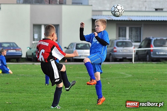 Zdjęcie w galerii na portalu naszraciborz.pl: Młodzi piłkarze Startu z kompletem punkt&oacute;w wiadomości z regionu