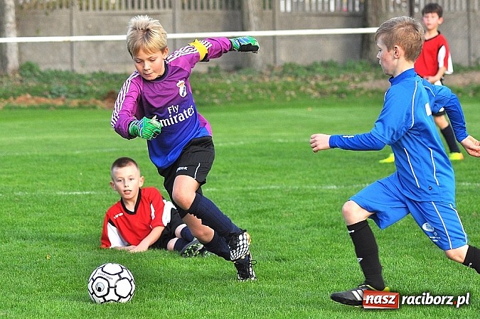 Zdjęcie w galerii na portalu naszraciborz.pl: Młodzi piłkarze Startu z kompletem punkt&oacute;w wiadomości z regionu