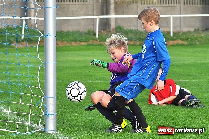 Zdjęcie w galerii na portalu naszraciborz.pl: Młodzi piłkarze Startu z kompletem punkt&oacute;w wiadomości z regionu