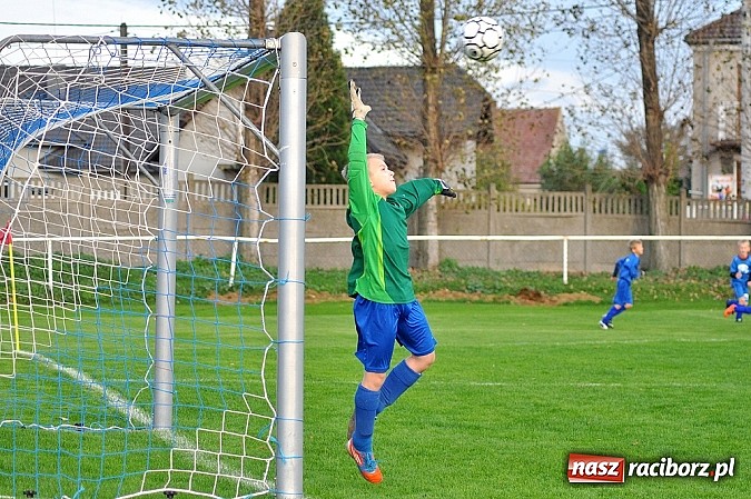 Zdjęcie w galerii na portalu naszraciborz.pl: Młodzi piłkarze Startu z kompletem punkt&oacute;w wiadomości z regionu