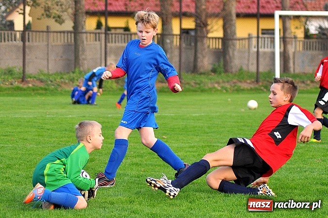 Zdjęcie w galerii na portalu naszraciborz.pl: Młodzi piłkarze Startu z kompletem punkt&oacute;w wiadomości z regionu