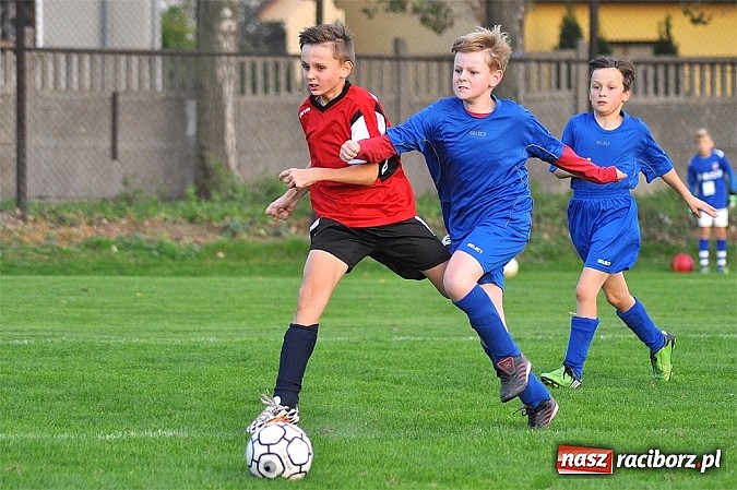Zdjęcie w galerii na portalu naszraciborz.pl: Młodzi piłkarze Startu z kompletem punkt&oacute;w wiadomości z regionu