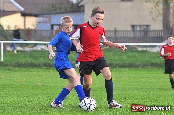 Zdjęcie w galerii na portalu naszraciborz.pl: Młodzi piłkarze Startu z kompletem punkt&oacute;w wiadomości z regionu