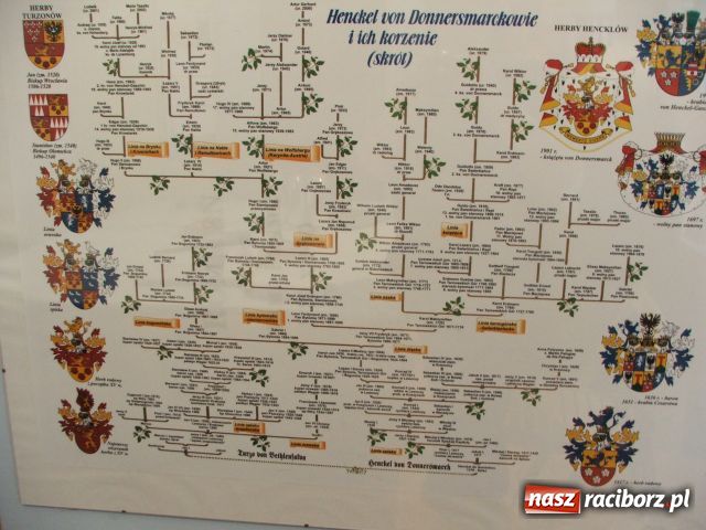 Zdjęcie w galerii na portalu naszraciborz.pl: Pałac w Krowiarkach – odsłona remontowa wiadomości z regionu
