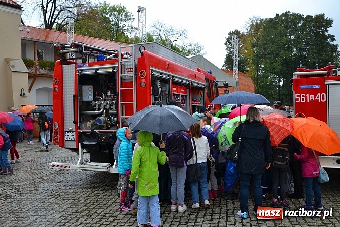 Zdjęcie w galerii na portalu naszraciborz.pl: VII Raciborskie Dni Nauki i Techniki - dzień drugi wiadomości z regionu