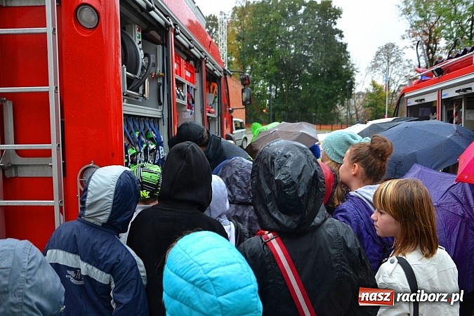 Zdjęcie w galerii na portalu naszraciborz.pl: VII Raciborskie Dni Nauki i Techniki - dzień drugi wiadomości z regionu