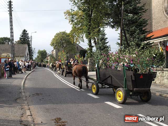 Zdjęcie w galerii na portalu naszraciborz.pl: Dożynkowy zawrót głowy wiadomości z regionu