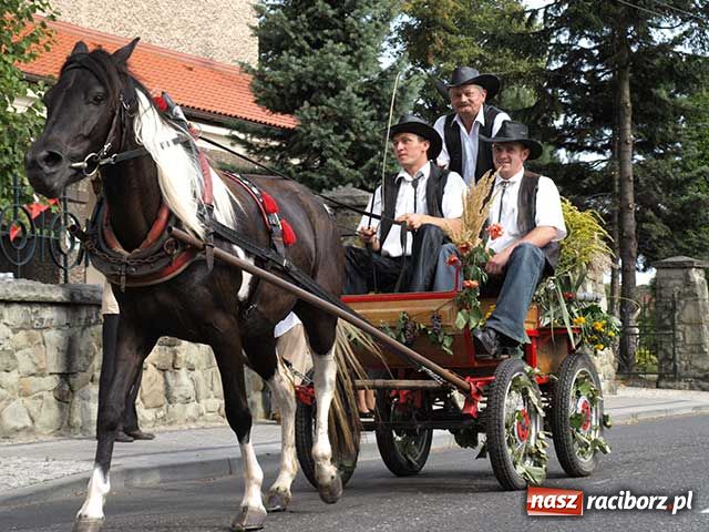 Zdjęcie w galerii na portalu naszraciborz.pl: Dożynkowy zawrót głowy wiadomości z regionu