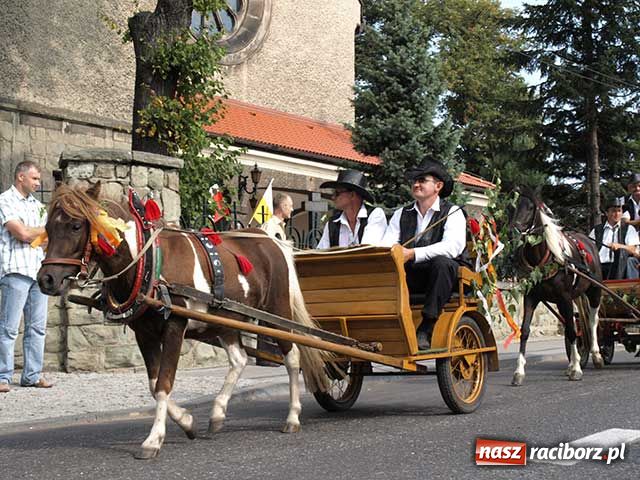 Zdjęcie w galerii na portalu naszraciborz.pl: Dożynkowy zawrót głowy wiadomości z regionu