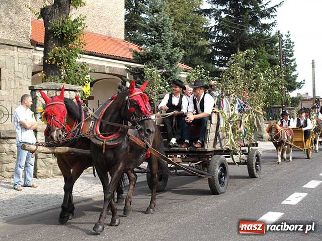 Zdjęcie w galerii na portalu naszraciborz.pl: Dożynkowy zawrót głowy wiadomości z regionu