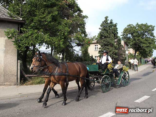 Zdjęcie w galerii na portalu naszraciborz.pl: Dożynkowy zawrót głowy wiadomości z regionu