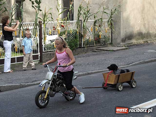 Zdjęcie w galerii na portalu naszraciborz.pl: Dożynkowy zawrót głowy wiadomości z regionu
