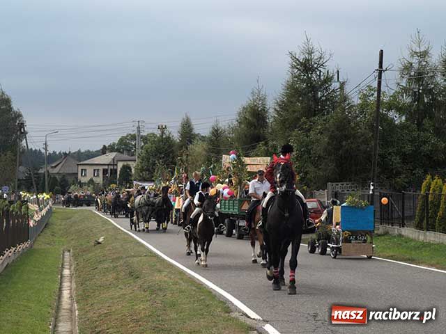 Zdjęcie w galerii na portalu naszraciborz.pl: Dożynkowy zawrót głowy wiadomości z regionu