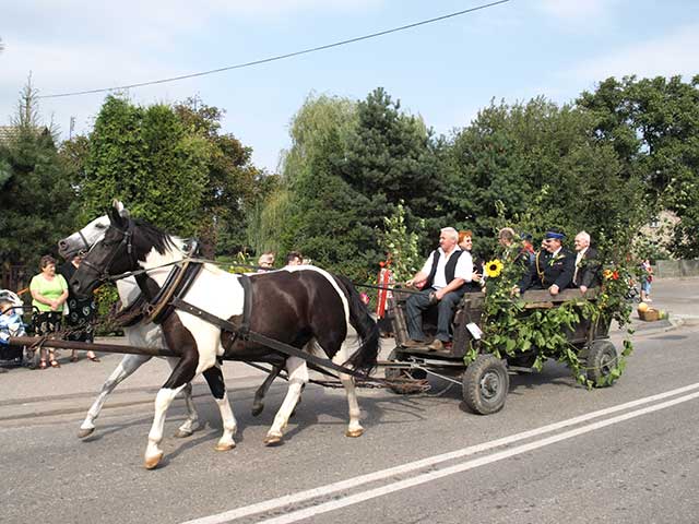 Zdjęcie w galerii na portalu naszraciborz.pl: Dożynkowy zawrót głowy wiadomości z regionu